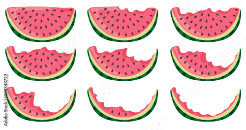 Set of watermelon pieces  whole and bitten.  Green striped berry with red pulp and brown seeds. Vector illustration