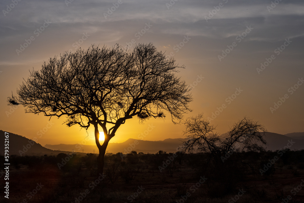 sunrise over Africa to dream