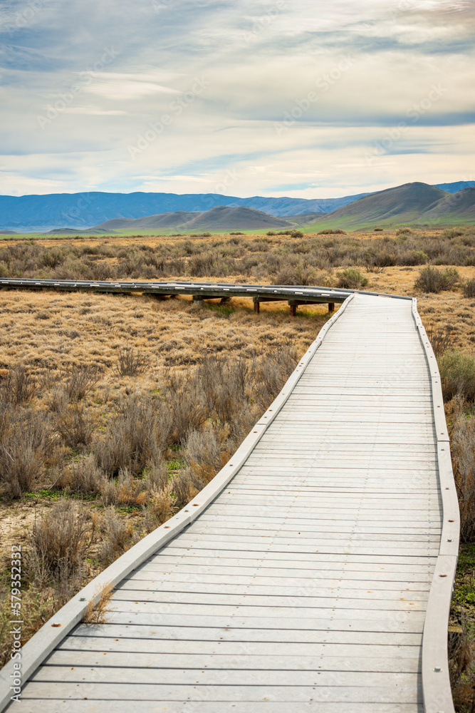 Boardwalk trail at Carrizo Plain National Monument