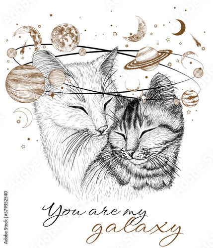 Vector illustration of cats in love with a galaxy of planets and stars in the style of engraving