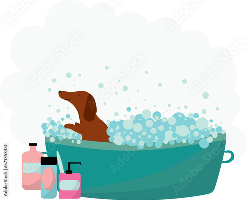 Bathing a pet. Dog. Bath. High quality vector image.