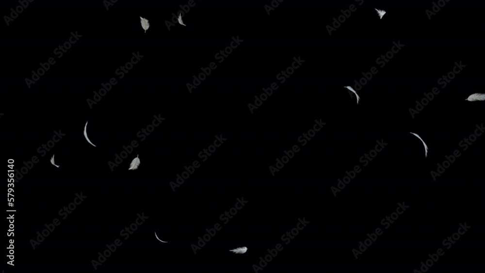White fluffy feather blowing transition with alpha channel