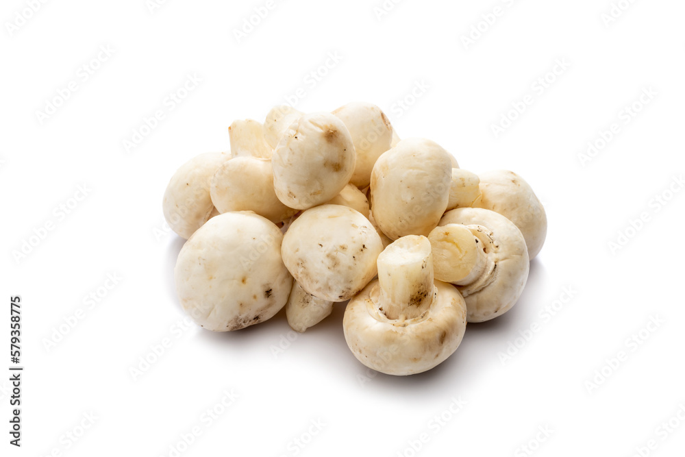 Heap of mushroom isolated on white background   