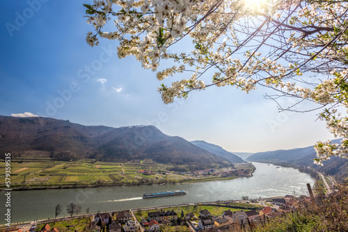 Photography Spitz village with ship on Danube river in Wachau valley (UNESCO) during spring