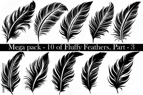 Mega-set pack of 10 vector black Fluffy Feather Silhouette Icon, Set Isolated. Bird Feathers for Logo. White background