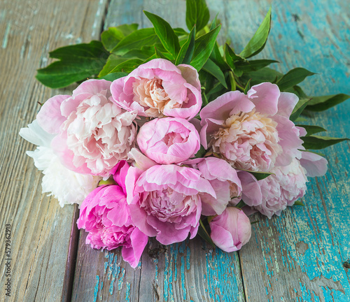 Bunch of pink peonies on old blue paint wooden background  close up