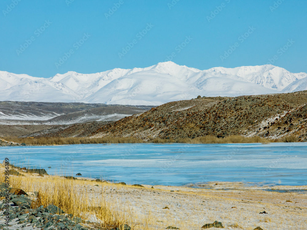 View from Tarahta river valley to South Chui ridge in winter day. Russia South Of Western Siberia, Altai Mountains. Desert mountains covered with snow near village of Kosh-Agach