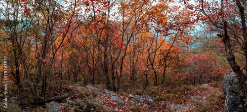 Chongqing wushan small big NingHe scenery photo