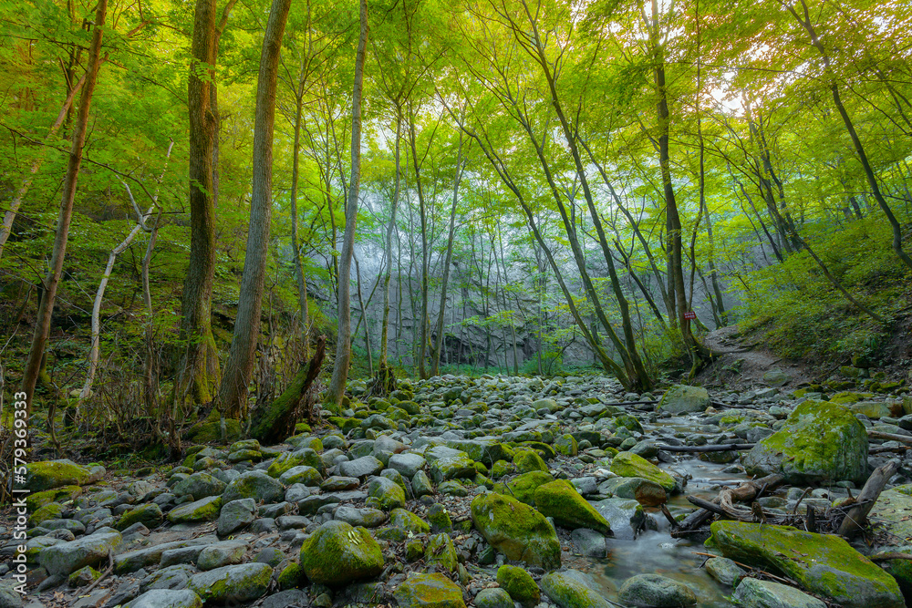 Xi 'an qinling peace valley scenery Xi 'an qinling peace valley scenery