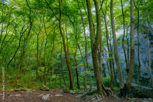 Shaanxi qinling peace valley west temple ditch scenery photo