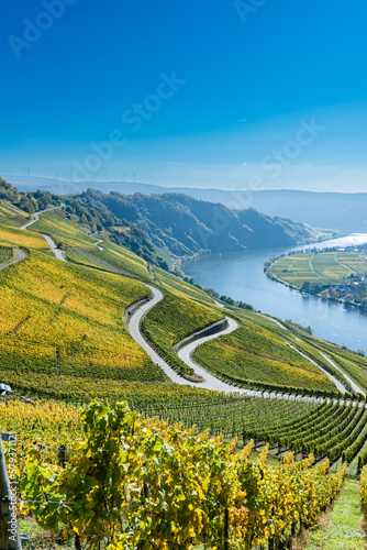 Moselblick auf den Ort Piesport