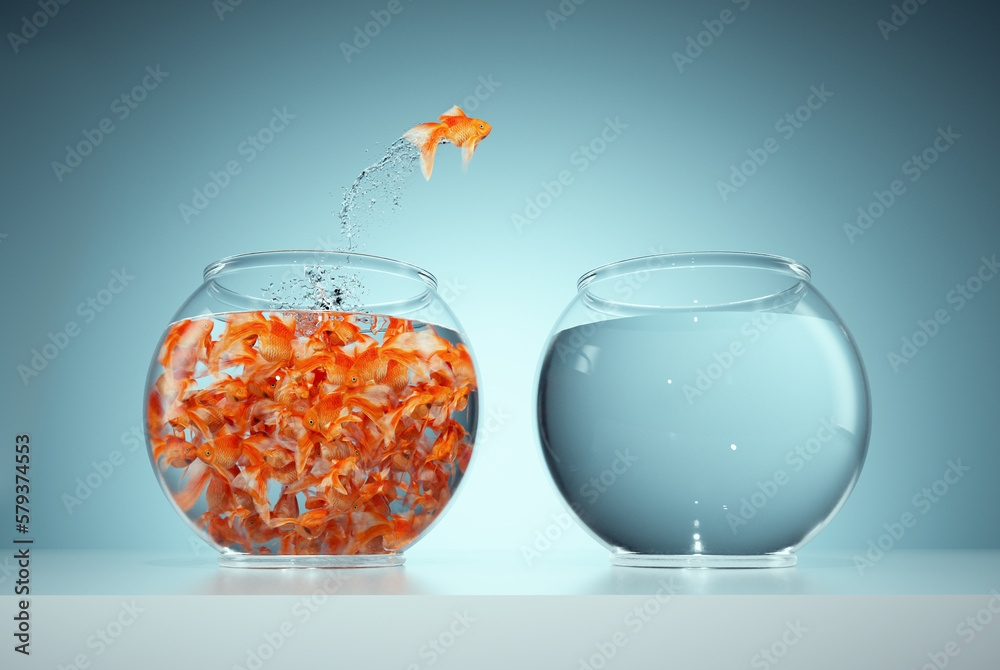 I'm not like others - be different concept - goldfish jumping in a bigger fish bowl. - obrazy, fototapety, plakaty 