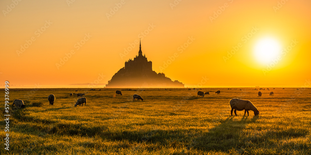 Obraz premium Mont Saint Michel / Normandie
