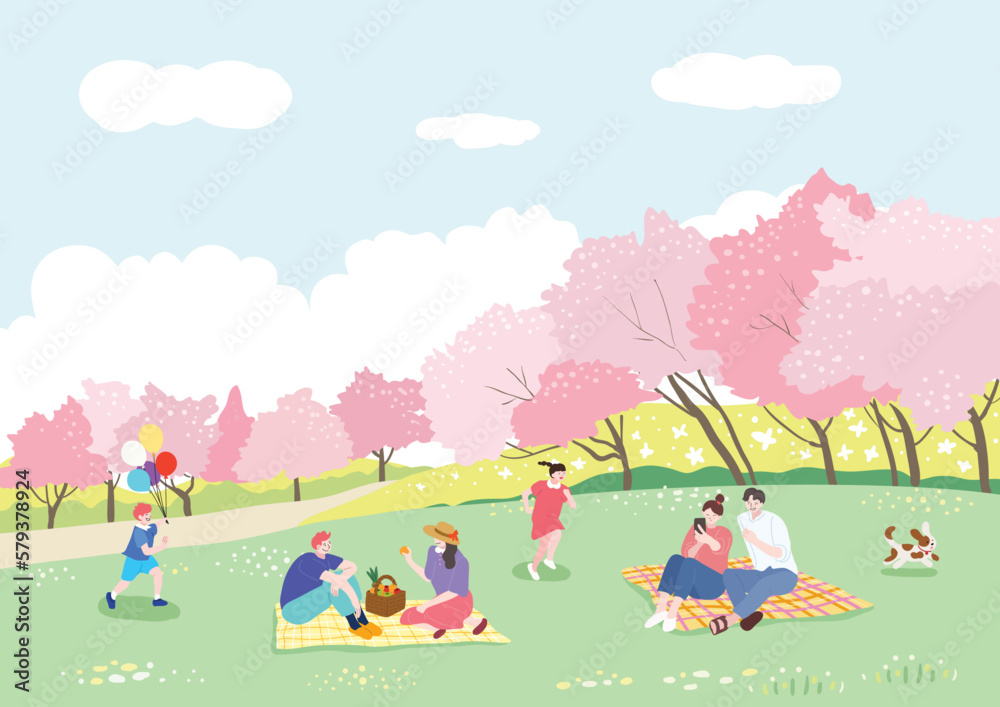 People enjoying picnics on the grass on a sunny spring day when cherry blossoms are in full bloom
