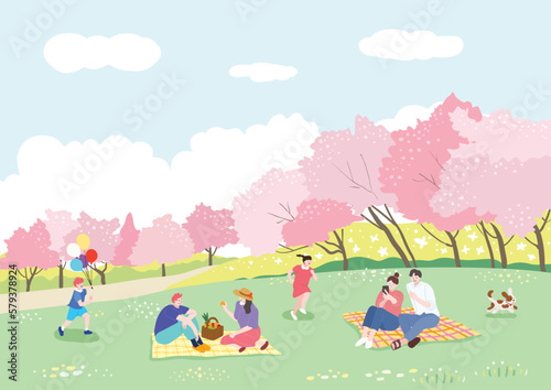 People enjoying picnics on the grass on a sunny spring day when cherry blossoms are in full bloom