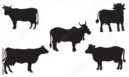 Cow graphic icon. Cow black silhouette isolated on white background. Vector illustration
