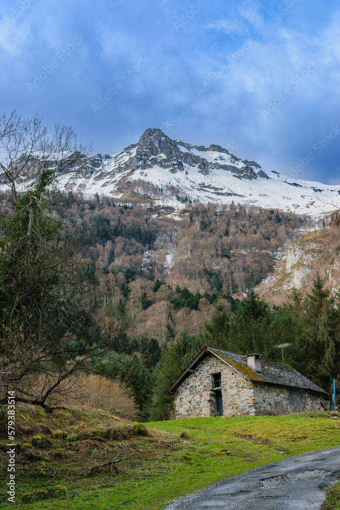 Crête de l'Ours, vallée d'Ossau, Béarn, montagne des Pyrénées (France) _ 2