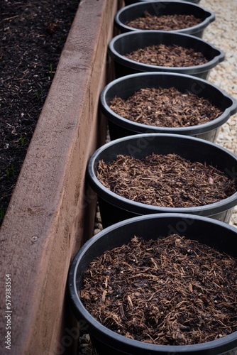 buckets filled with compost and dried leaves for planting vegetables