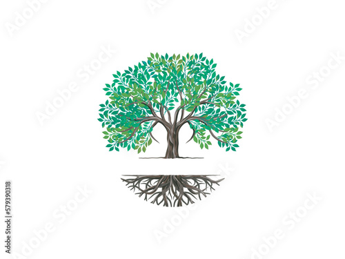 Tree and roots vector, tree with round shape	