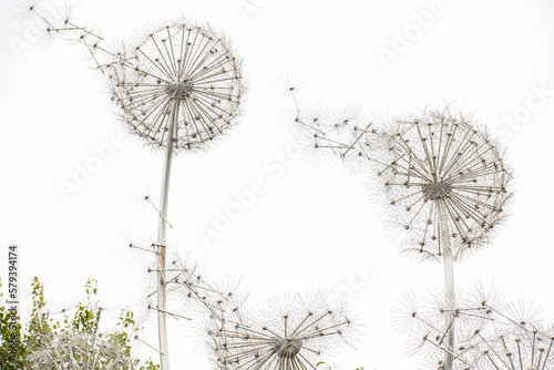 Outdoor towering and exquisite dandelion sculpture