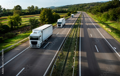 Fototapeta Naklejka Na Ścianę i Meble -  Convoy of Trucks with containers on highway, cargo transportation concept in springtime - freight service