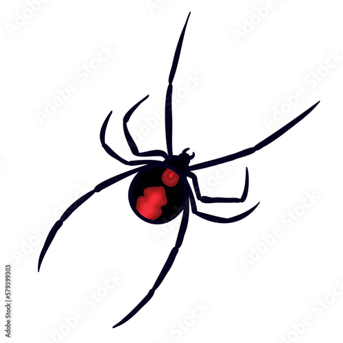 Red back spider Aussie fauna color vector character