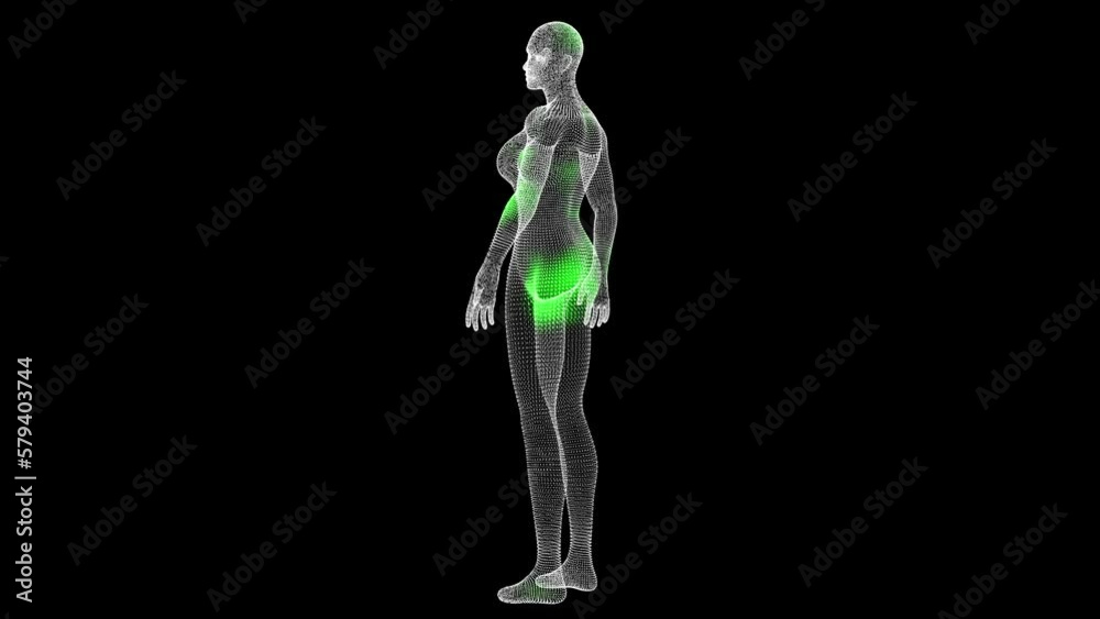 The spread of antivirus through volumetric woman body rotation on black background. Demonstration of cure of the virus in the body. Medical concept. Scanning and treatment of the body. 3D animation. The spread of antivirus through volumetric woman body rotation on black background. Demonstration of cure of the virus in the body. Medical concept. Scanning and treatment of the body. 3D animation.