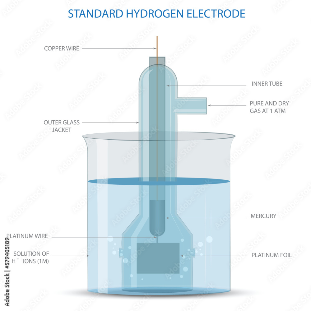 Vetor de A Standard Hydrogen Electrode or SHE is an electrode that