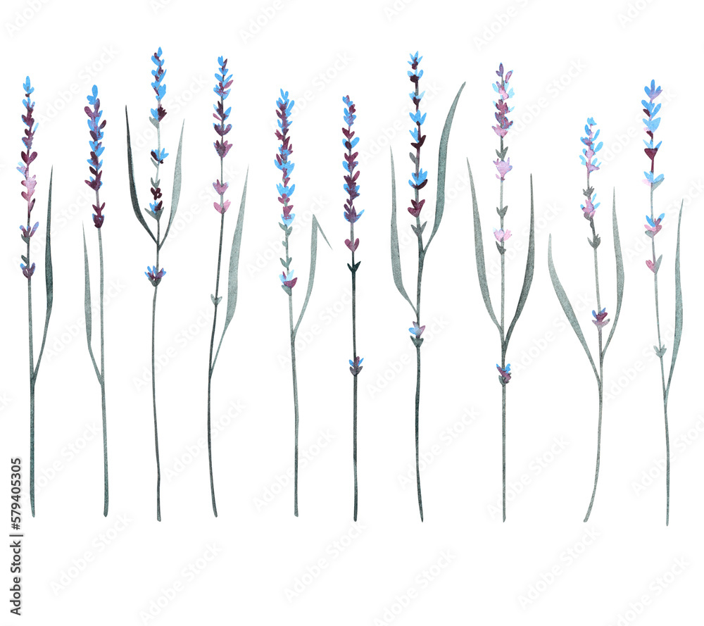 Lavender flowers frame border seamless pattern. Beautiful violet lavender flowers retro background and borders. Elegant floral set. Surface pattern design. Lavender flowers frame border seamless pattern. Beautiful violet lavender flowers retro background and borders. Elegant floral set. Surface pattern design.