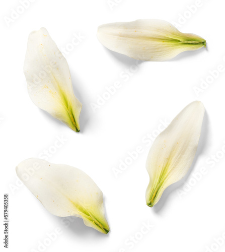 Lily Flower Flakes