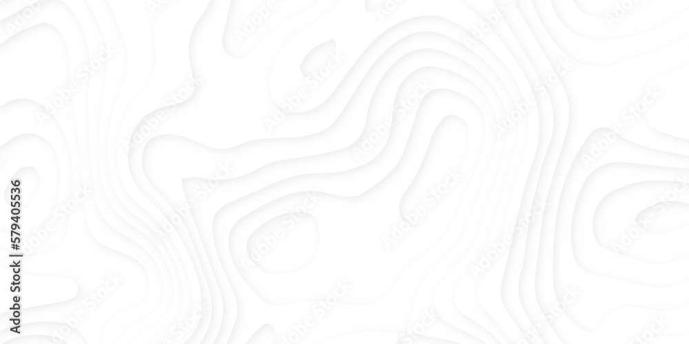 Abstract wavy line 3d paper cut white background. Topographic canyon geometric map relief texture with curved layers and shadow. Abstract realistic papercut decoration textured with wavy layers Abstract wavy line 3d paper cut white background. Topographic canyon geometric map relief texture with curved layers and shadow. Abstract realistic papercut decoration textured with wavy layers