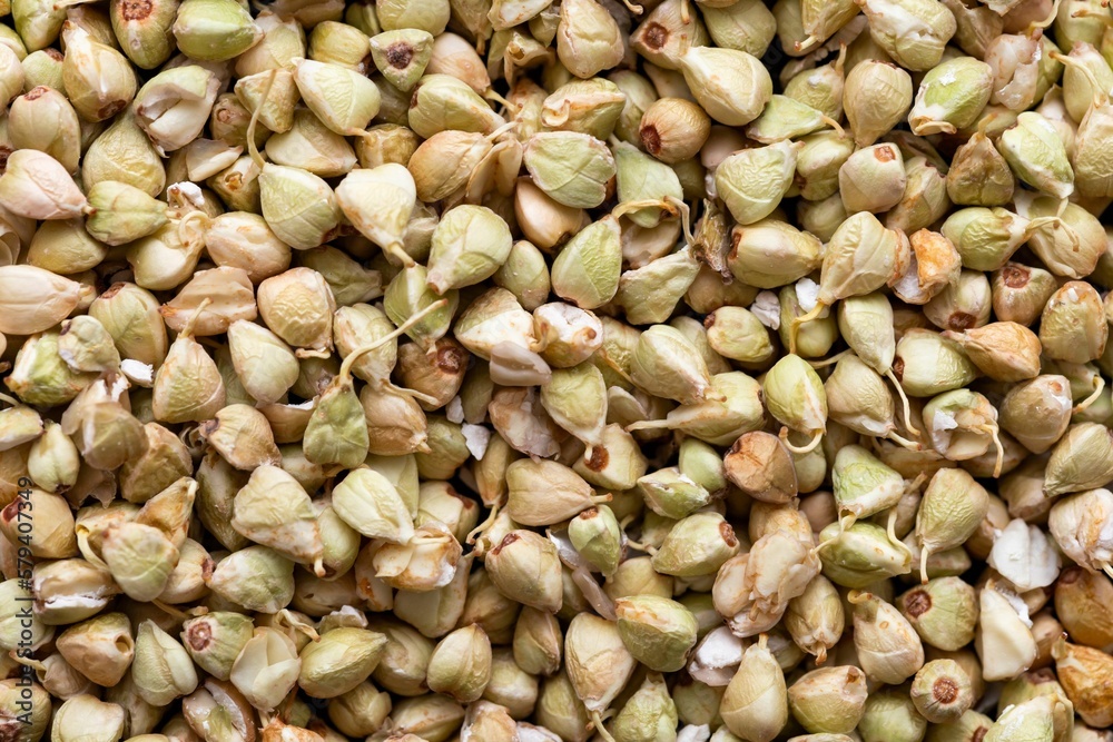 Top view closeup shot of a heap of buckwheat