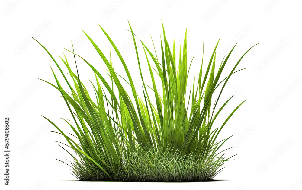 Obraz premium Green grass isolated on white background. Generative AI.