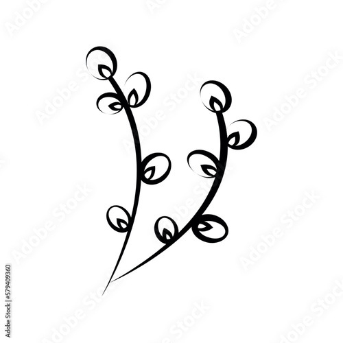 Linear willow twig in doodle style