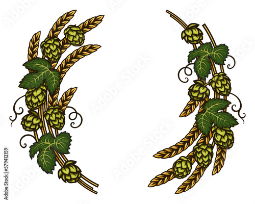 Beer hops branches with wheat barley ears, leaves and hop cones. Vector illustration isolated on white background