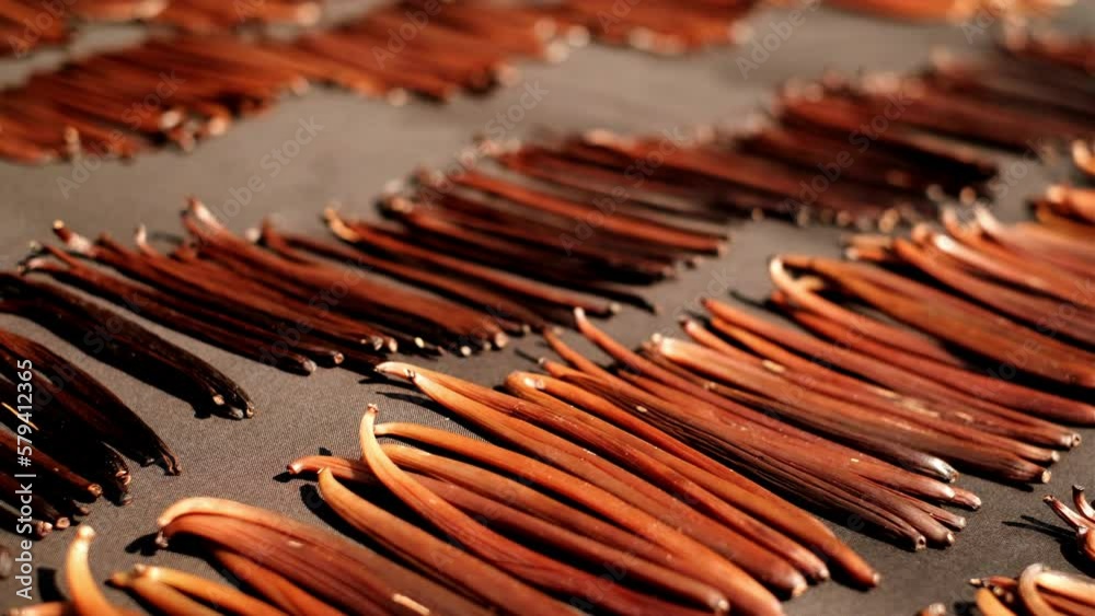 Vanilla Planifolia pods ,Bourbon Vanilla Dark brown black ,(vanilla