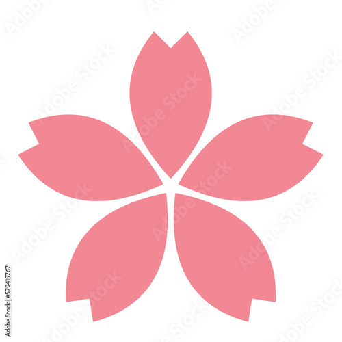 Pink Cherry Blossom 