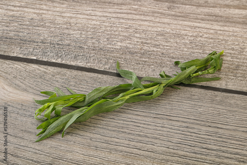 Green tarragon herb spice for cooking Green tarragon herb spice for cooking