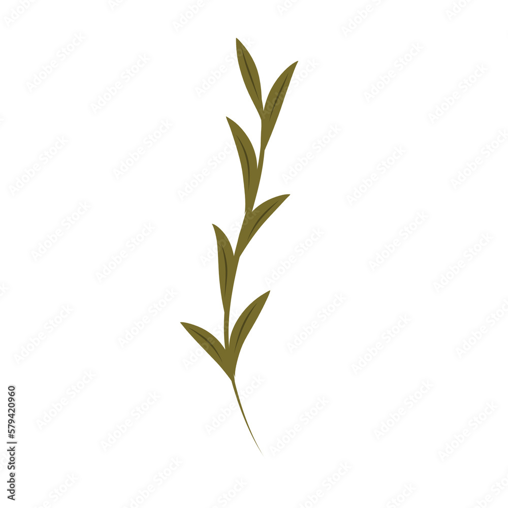 Naklejka premium Botanical leaf.decorative leaves.green foliage