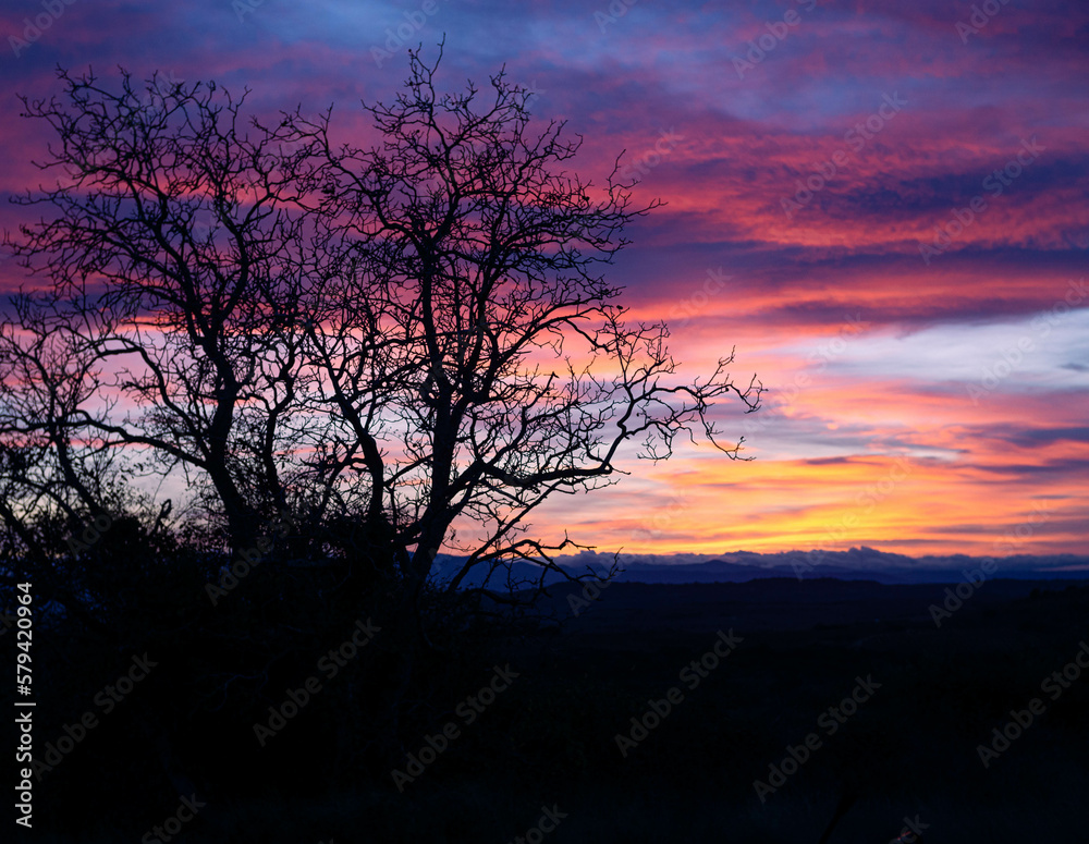 Violet sky at sunset
