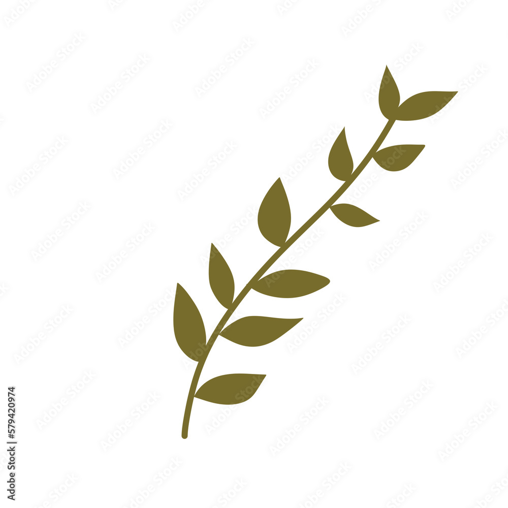 Botanical leaf.decorative leaves.green foliage Botanical leaf.decorative leaves.green foliage