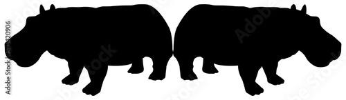 Fototapeta Naklejka Na Ścianę i Meble -  Pair of the Hippopotamus (Hippopotamus Amphibius) Silhouette for Logo, Art Illustration, Icon, Symbol, Pictogram or Graphic Design Element. Format PNG