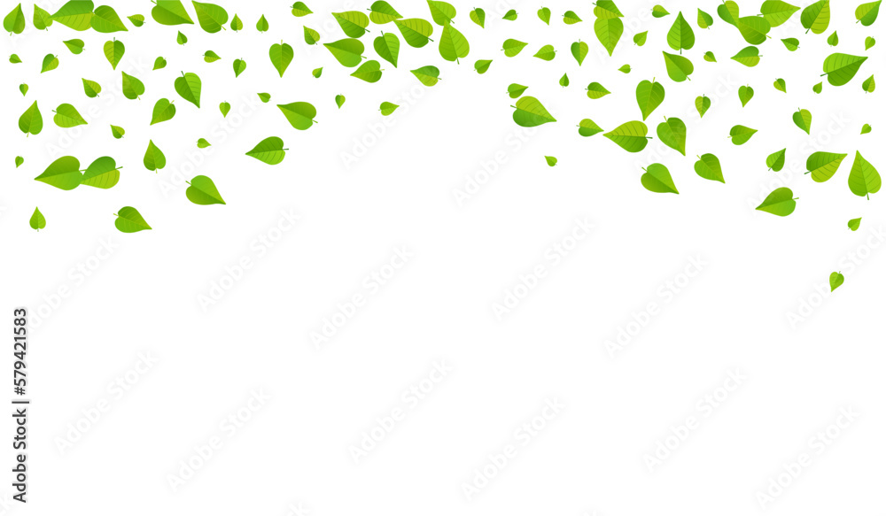 Olive Leaf Blur Vector White Background Pattern. Olive Leaf Blur Vector White Background Pattern.