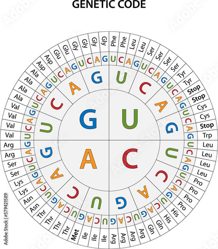Tableau sur toile The Genetic code chart.