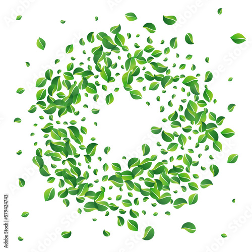 Grassy Leaves Organic Vector White Background.