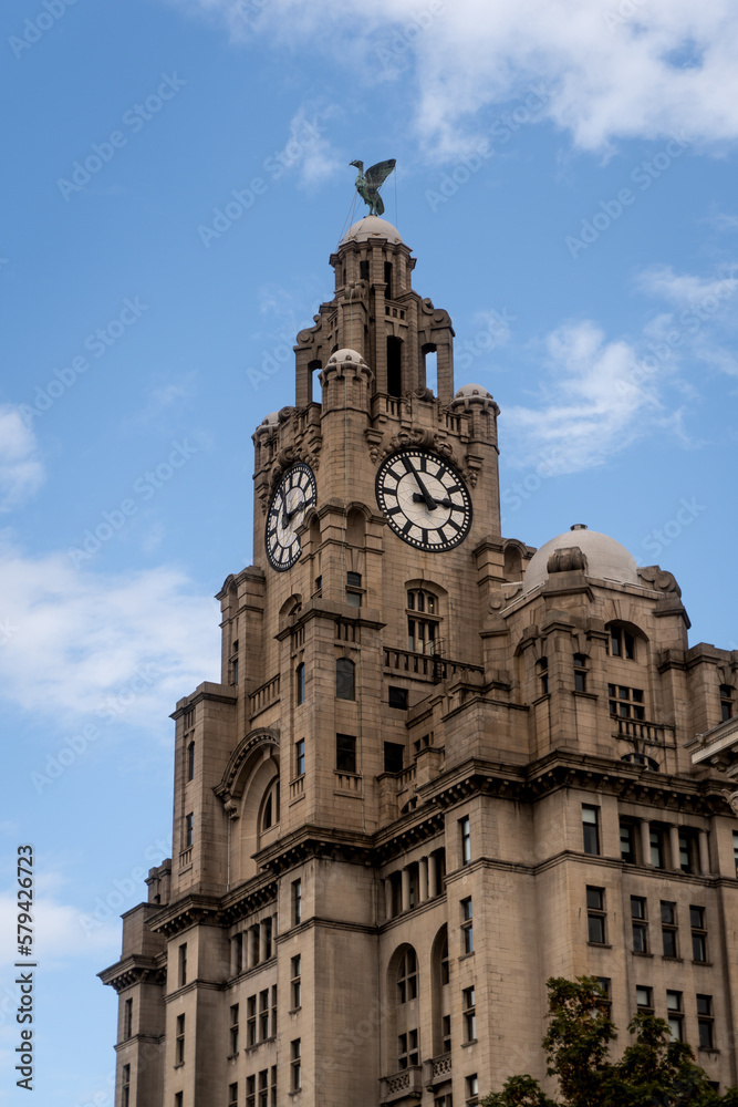 Liverpool, United Kingdom: Liver Bird on Royal Liver Building clock tower. The liver bird is a mythical creature which is the symbol of the English city of Liverpool.