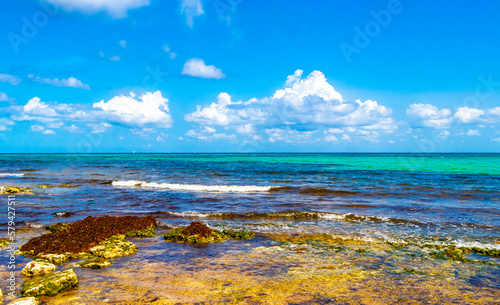 Turquoise green blue water with stones rocks corals beach Mexico.