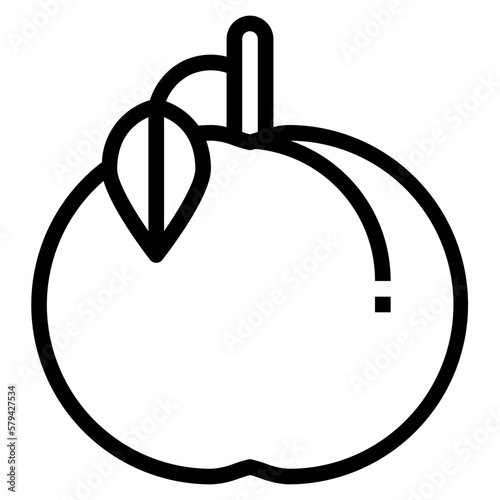 plum line icon style