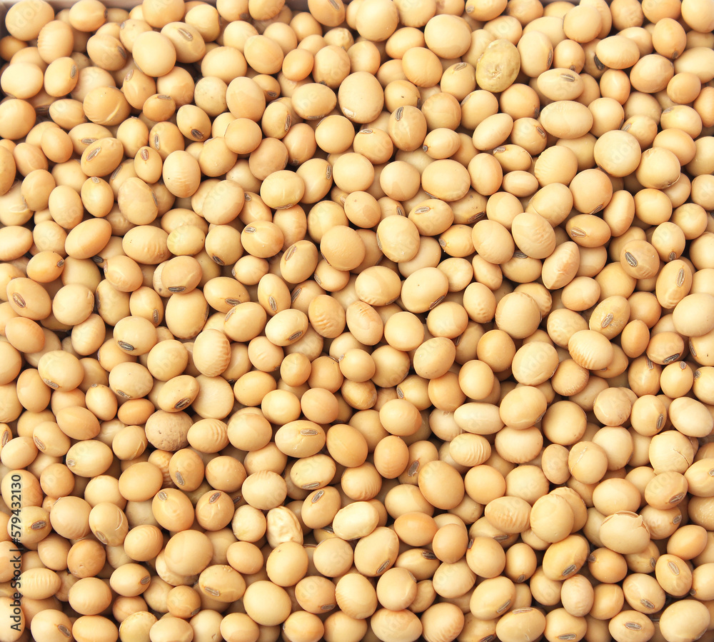 Soya beans pulses filling whole frame, Healthy protein rich Soyabean for everyday breakfast and snacks Soya beans pulses filling whole frame, Healthy protein rich Soyabean for everyday breakfast and snacks