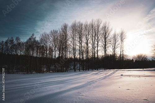 sunset in the forest